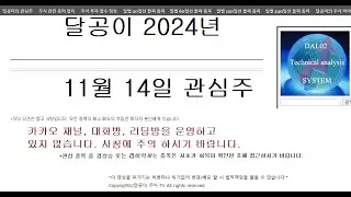 달공이 2024년 11월 14일 주식 관심 종목