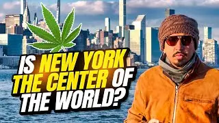 New York Highlights | Mooroo