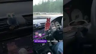 Первый раз за рулём) для первого раза вообще не плохо, если способный ученик, и хороший инструктор)