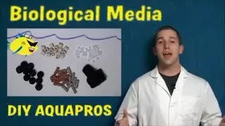 TOP 5 AQUARIUM FILTER MEDIA - BY DIY AQUAPROS
