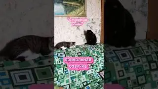 Прикольная озвучка из х/ф 