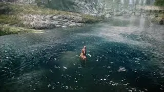 Skyrim Test - 24fps - high settings