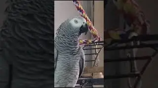 - привет красатуля !                   -   ДА́ААА!