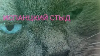 ИСПАНЦКИЙ СТЫД