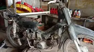 Prima Street cub