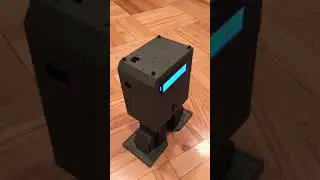 Bipedal Robot