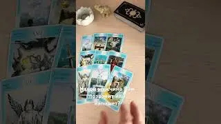 28 сентября 2024 г.