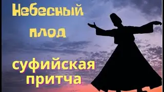 Небесный плод.  Суфийская притча.
