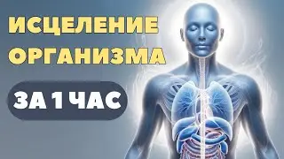 ВОССТАНОВЛЕНИЕ ОРГАНИЗМА НА ТОНКОМ И ФИЗИЧЕСКОМ ПЛАНЕ