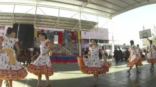 Cofossa San Carlos de Aragón 2015
