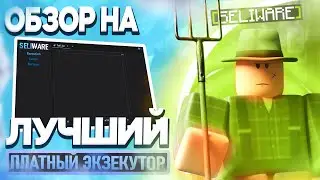 SELIWARE BEST ROBLOX EXECUTOR
