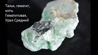 НОВЫЕ ОБРАЗЦЫ САЙТА PERELIVT