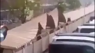 Bad weather compilation