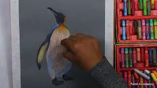 How to Draw Realistic Penguin in Oil Pastel | step by step Coloring