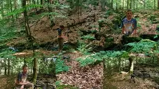 Ein wenig Fotografie am Bach im Pressnitztal