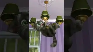 Talking Tom 2 
