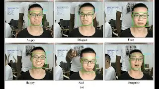 Real-time Facial Expression Recognition with CNN (2020) from Normal Camera and Videos For Subject 2:
