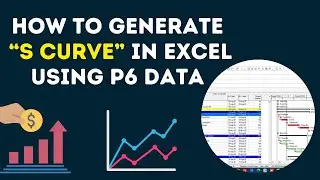 How to Develop S curve or Cash Flow in Excel using Primavera p6 data? 