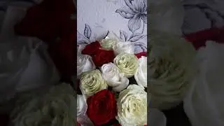 совместно 22 года!