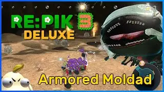 RE:Pik 3 DX - Armored Moldad