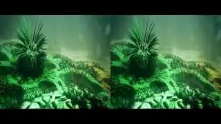 The Branching of Phyla by Julius Horsthuis SBS 3D