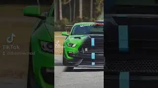 Black GT350 vs Green GT350RS #shorts