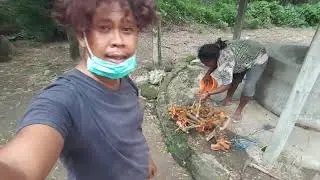 sumur lor surganya bonsai oren🤣🙏🤣