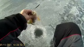 сново окушки
