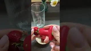 IMG 7635