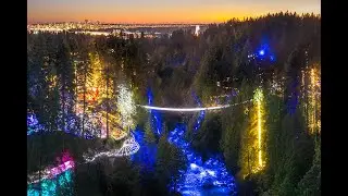 Canyon Lights