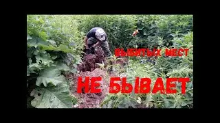 Выбитых мест не бывает. Копаю на старом месте с новым металлоискателем