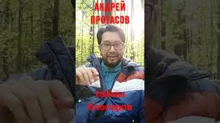 1.Тайны Успешных Блогеров. 1 часть. 