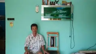 Стул