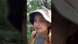 A Day in the Life of a Mosquito Field Technician - TikTok