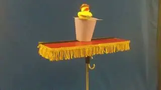 The 