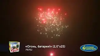 P8762 Огонь батарея 2,0 х 25