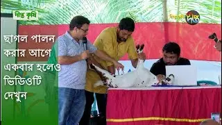 Deepto Krishi/দীপ্ত কৃষি : ছাগল পালন করার আগে একবার হলেও ভিডিওটি দেখুন | deepto tv
