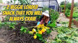 Ep 13: 4 months summer squash growing cycle from seeds and winning against squash vine borers! 👌
