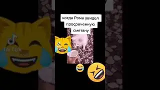 #Рома#кот#сметана#tiktok