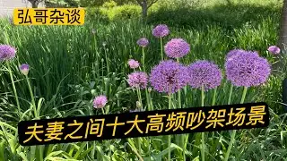 夫妻之间的十个场景瞬间，会高频引发无预警吵架，比如：开车、购物、拍照、、、、、、闲聊丈夫和太太的语言交锋，欢喜相伴。