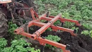 Окучивание картофеля Т-25