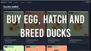 Waves Ducks - Buying EGG token, Hatching and Breeding Ducks