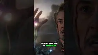 Robert Downey Jr 's Impact on the Marvel Universe