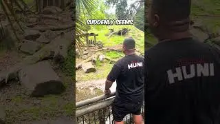 He should not have flexed in front of this baboon 😨