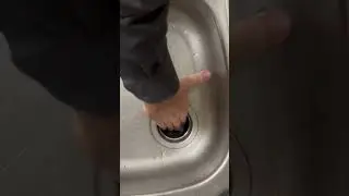 Clean your disgusting garbage disposal