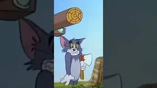 Tom & Jerry 🥳🥳🥳