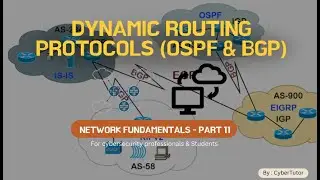 What’s the Difference Between Static and Dynamic Routing?
