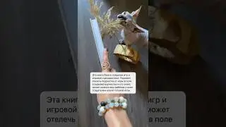 Книга для сценаристов, писателей и создателей игр #книгадляподростка #обзоркниг #книгадлясценариста