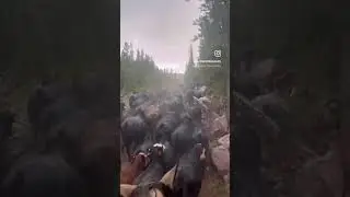 It’s an amazing life as cowboys. Let’s see your own version of this trend!!