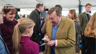 Old Gold Racing's 2024 in highlights | #horseracing